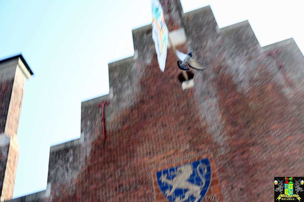 ../Images/Boerenbruiloft gemeentehuis 2025 090.jpg